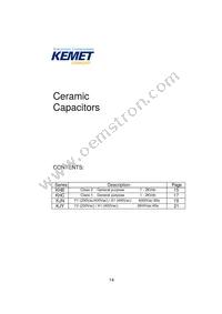 KJN222MS51FAAAA Datasheet Page 16