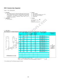 KJN222MS51FAAAA Datasheet Page 19