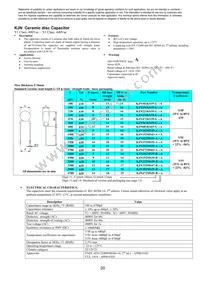 KJN222MS51FAAAA Datasheet Page 22