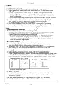 KR355WD72E225MH01K Datasheet Page 2