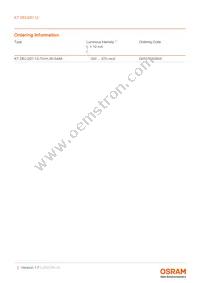 KT DELQS1.12-TIVH-36-S4A6-10-S Datasheet Page 2