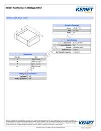 L0806B220JSWST Datasheet Cover