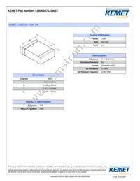 L0806B470JSWST Datasheet Cover