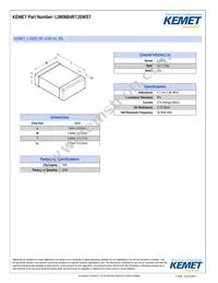 L0806B4R7JSWST Datasheet Cover