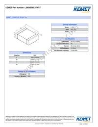 L0806B560JSWST Datasheet Cover