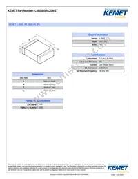 L0806B5R6JSWST Datasheet Cover