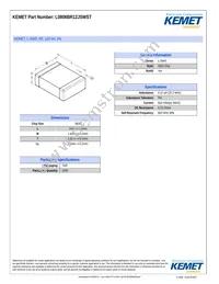 L0806BR12JSWST Datasheet Cover