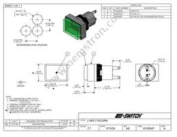 L16PLT10CGRN Datasheet Cover