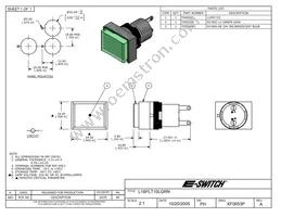 L16PLT10LGRN Datasheet Cover