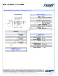 L1GN30D334KA04 Datasheet Cover