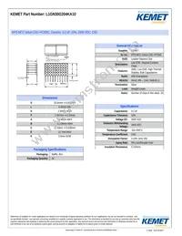 L1GN30G204KA10 Datasheet Cover