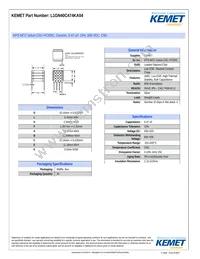 L1GN40C474KA04 Datasheet Cover