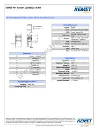 L1GN40D274KA05 Datasheet Cover