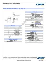 L1GN501604KA02 Datasheet Cover