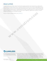 L1MX-579003V000000 Datasheet Page 19