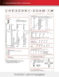 L22D1S001-AZZ00-000 Datasheet Page 4