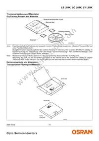 LO L89K-J2L1-24 Datasheet Page 13