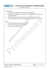 LOPL-E001A Datasheet Page 12