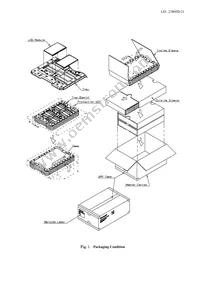 LQ101K1LY04 Datasheet Page 23