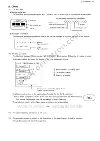 LQ104S1LG81 Datasheet Page 19
