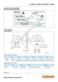 LS A676-P2R1-1 Datasheet Page 12