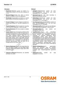 LS R976-NR-1 Datasheet Page 19