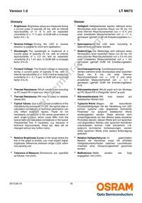 LT M673-N2Q1-25-Z Datasheet Page 18