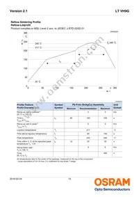 LT VH9G-Q2OO-25-1 Datasheet Page 13