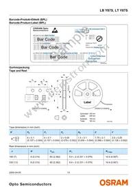 LT Y87S-P1Q2-35 Datasheet Page 13