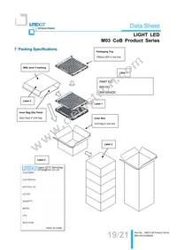 LTPL-M03622ZS57-S1 Datasheet Page 19