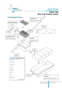 LTPL-M13710ZS40-T2 Datasheet Page 21