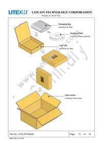 LTPL-P013NS40 Datasheet Page 13