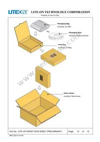 LTPL-P013WS57 Datasheet Page 12