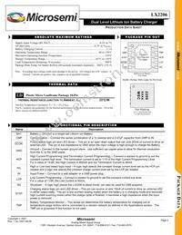 LX2206ILD Datasheet Page 2