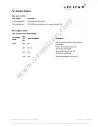 LZP-04MD00-0000 Datasheet Page 2