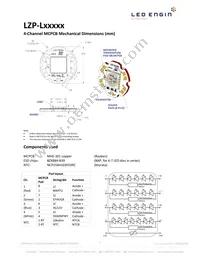 LZP-04MD00-0000 Datasheet Page 16