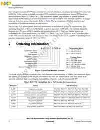 MAC7101MAG40 Datasheet Page 2