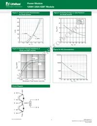 MG12225WB-BN2MM Datasheet Page 4