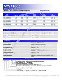 MINT1065C4875C01 Datasheet Page 2