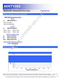 MINT1065C4875C01 Datasheet Page 3