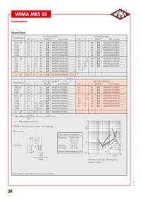 MKS0C031000C00JSSD Datasheet Page 2