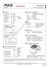 ML100.200 Datasheet Page 2