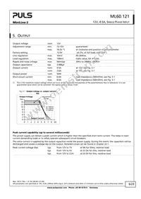 ML60.121 Datasheet Page 6