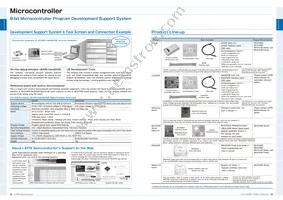 ML610Q794G-NNNTPZ0BX Datasheet Page 13