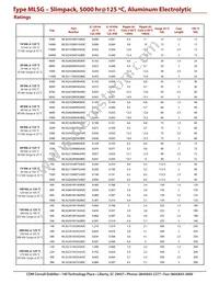 MLSG381M250JB0C Datasheet Page 4