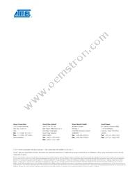 MSL1061AV-R Datasheet Page 20