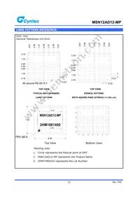 MSN12AD12-MP Datasheet Page 13
