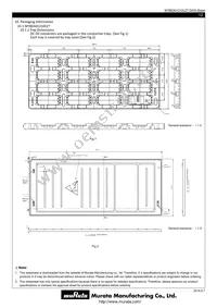 MYBEA01210CZTB Datasheet Page 12