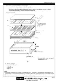 MYBEA01210CZTB Datasheet Page 13