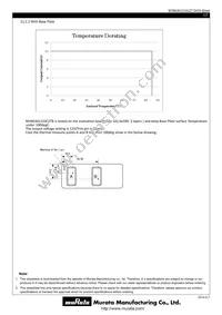 MYBEA01210CZTB Datasheet Page 17